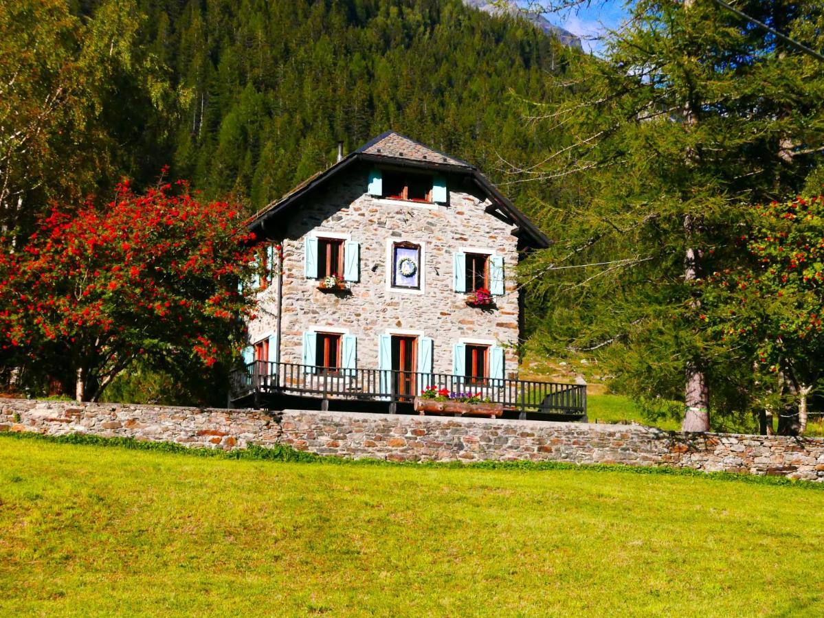 Il Cortese Chiareggio Экстерьер фото