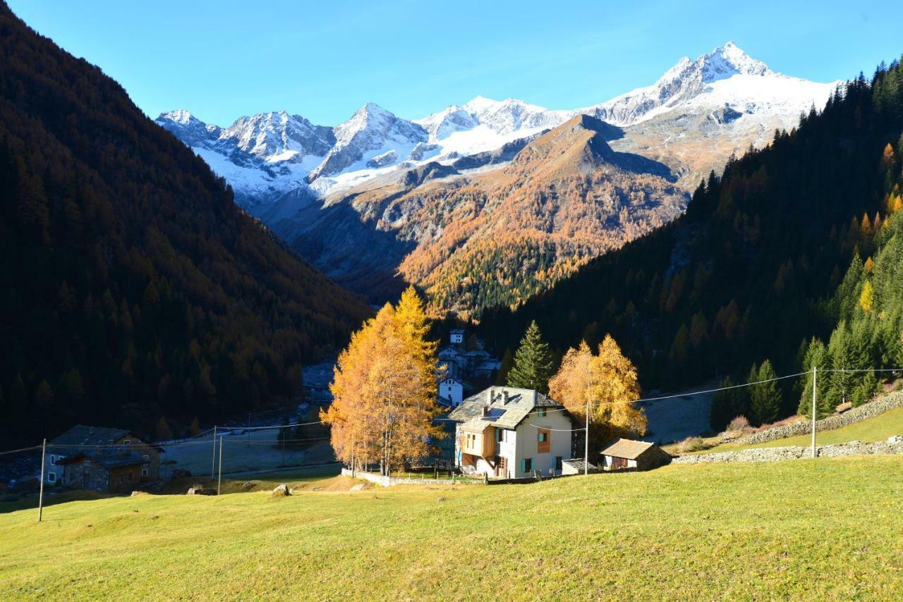 Il Cortese Chiareggio Экстерьер фото