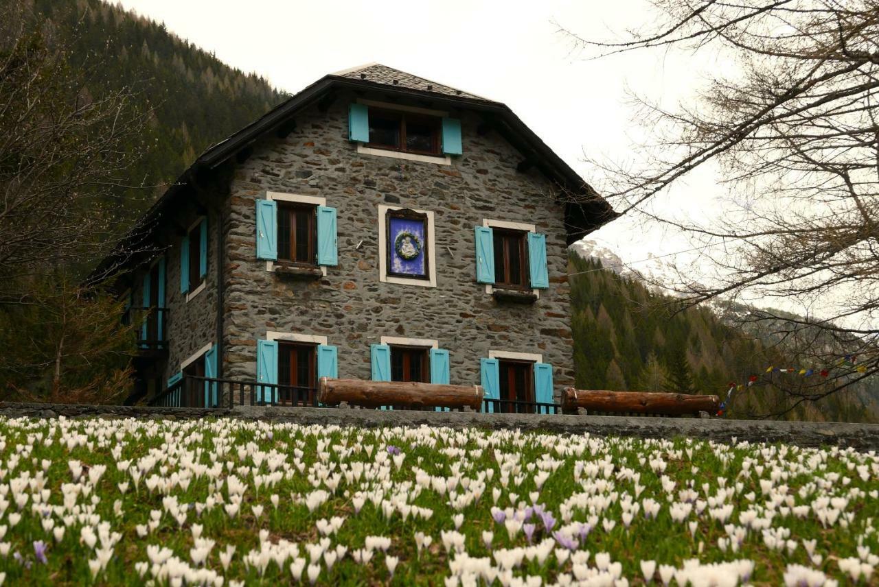 Il Cortese Chiareggio Экстерьер фото